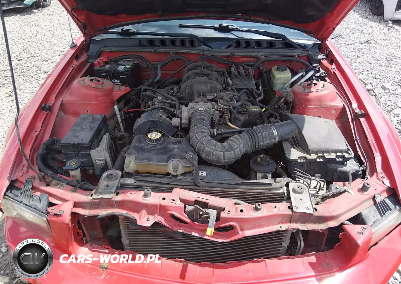 2005 Ford Mustang V6 Deluxe-V6 Premium VIN:1ZVFT80N555107225 - 10