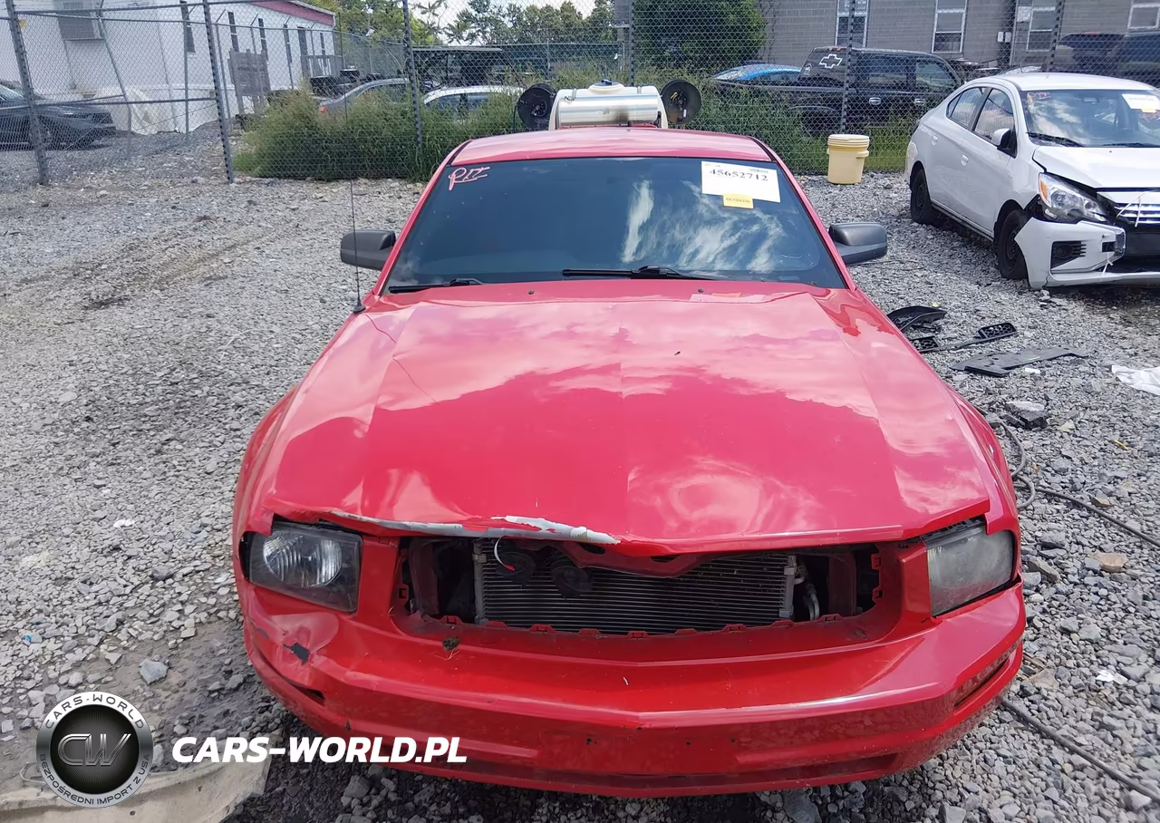 2005 Ford Mustang V6 Deluxe-V6 Premium VIN:1ZVFT80N555107225 - 13