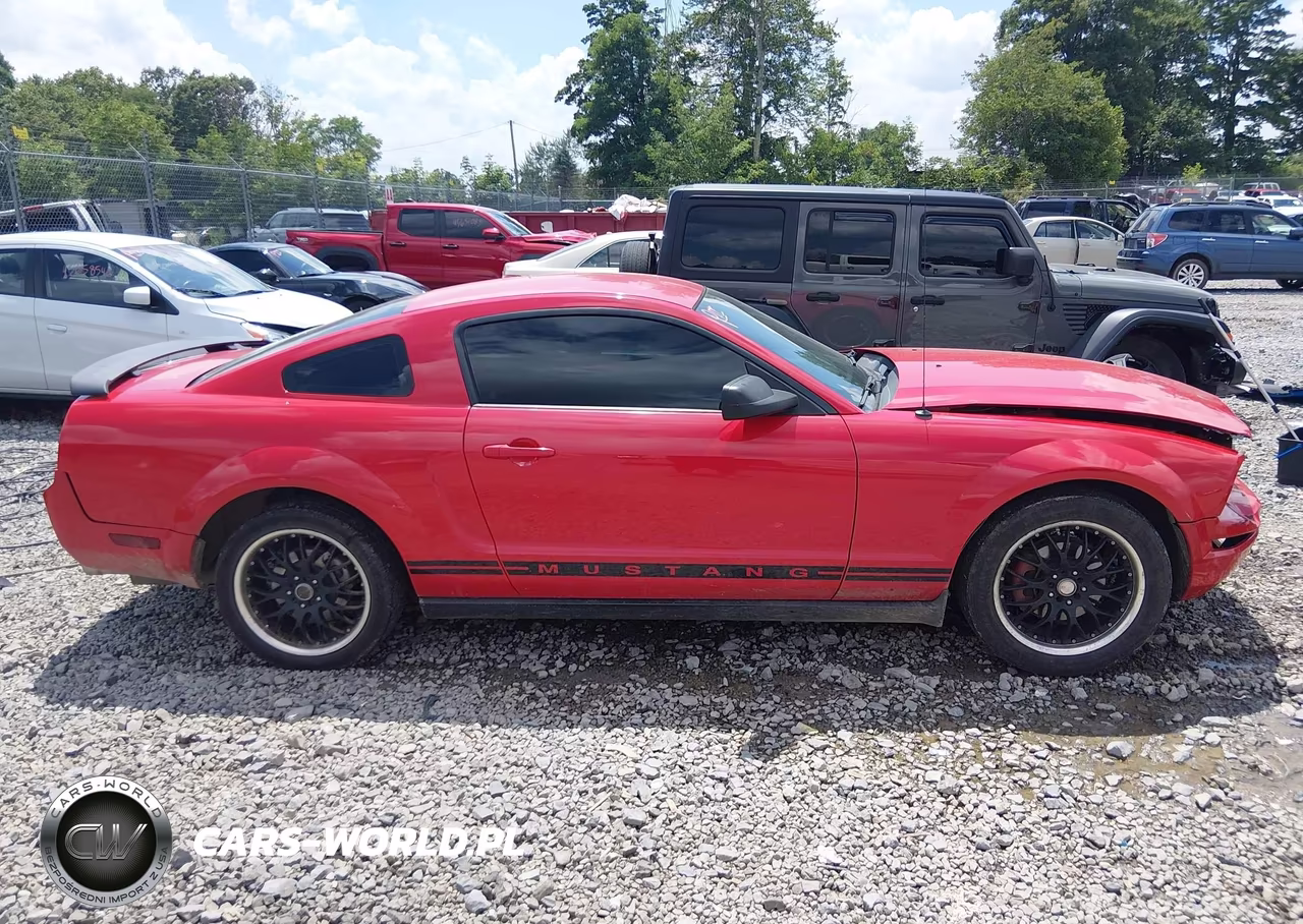 2005 Ford Mustang V6 Deluxe-V6 Premium VIN:1ZVFT80N555107225 - 14