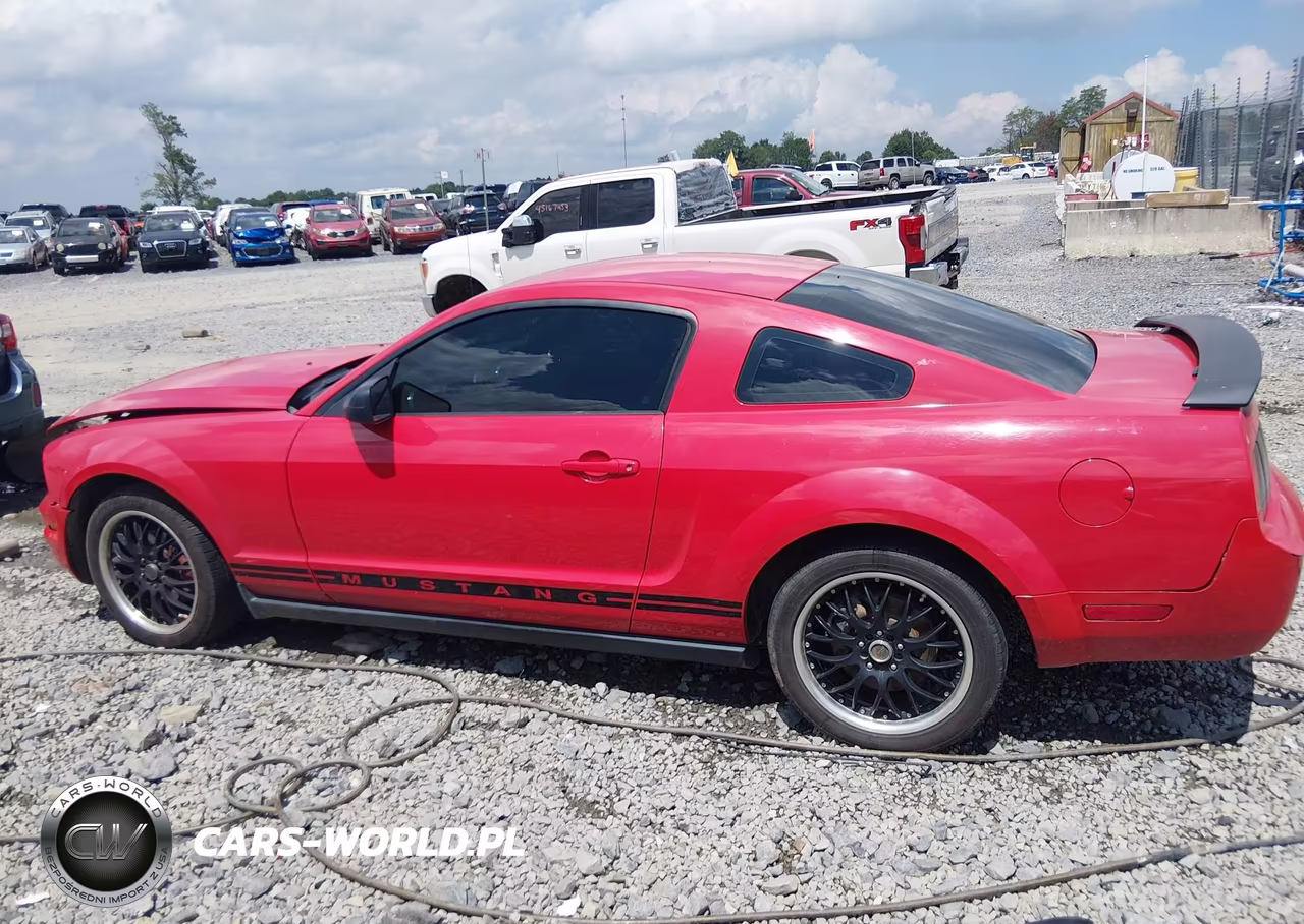 2005 Ford Mustang V6 Deluxe-V6 Premium VIN:1ZVFT80N555107225 - 15