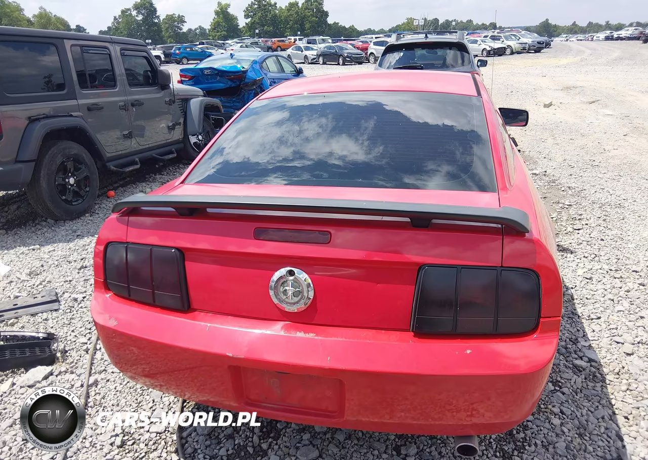 2005 Ford Mustang V6 Deluxe-V6 Premium VIN:1ZVFT80N555107225 - 17