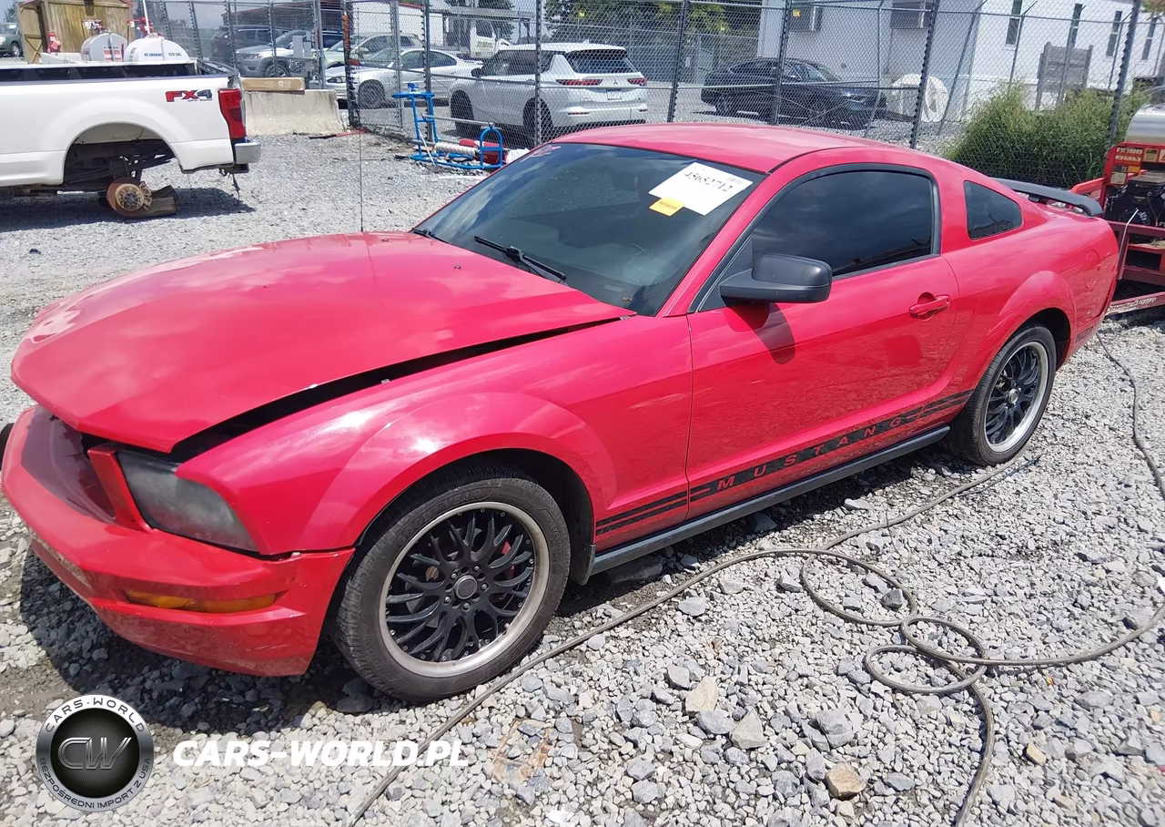 2005 Ford Mustang V6 Deluxe-V6 Premium VIN:1ZVFT80N555107225 - 2