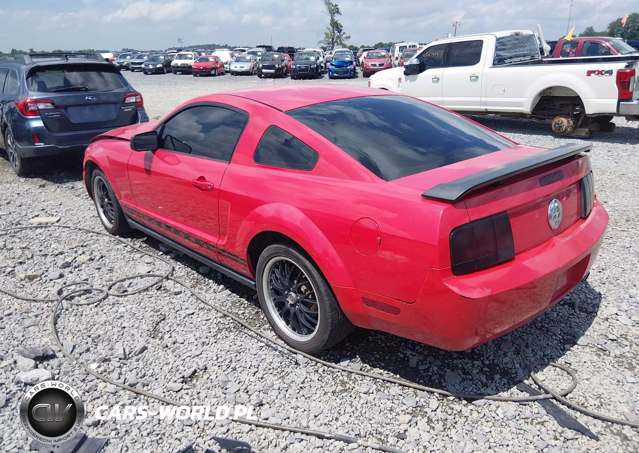 2005 Ford Mustang V6 Deluxe-V6 Premium VIN:1ZVFT80N555107225 - 3