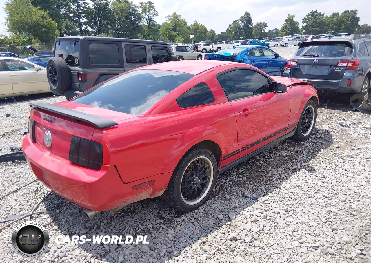 2005 Ford Mustang V6 Deluxe-V6 Premium VIN:1ZVFT80N555107225 - 4