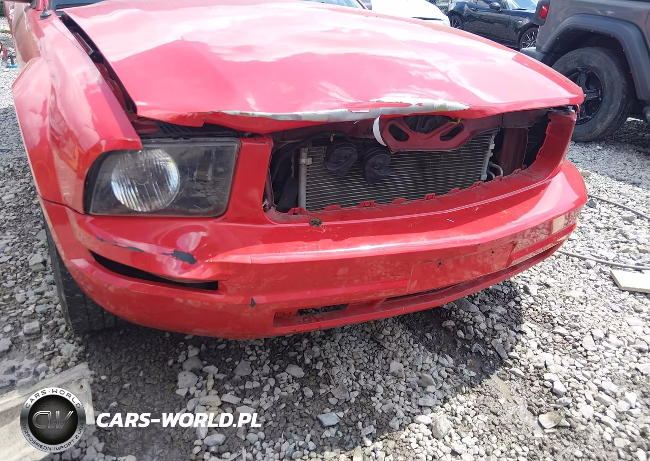 2005 Ford Mustang V6 Deluxe-V6 Premium VIN:1ZVFT80N555107225 - 6