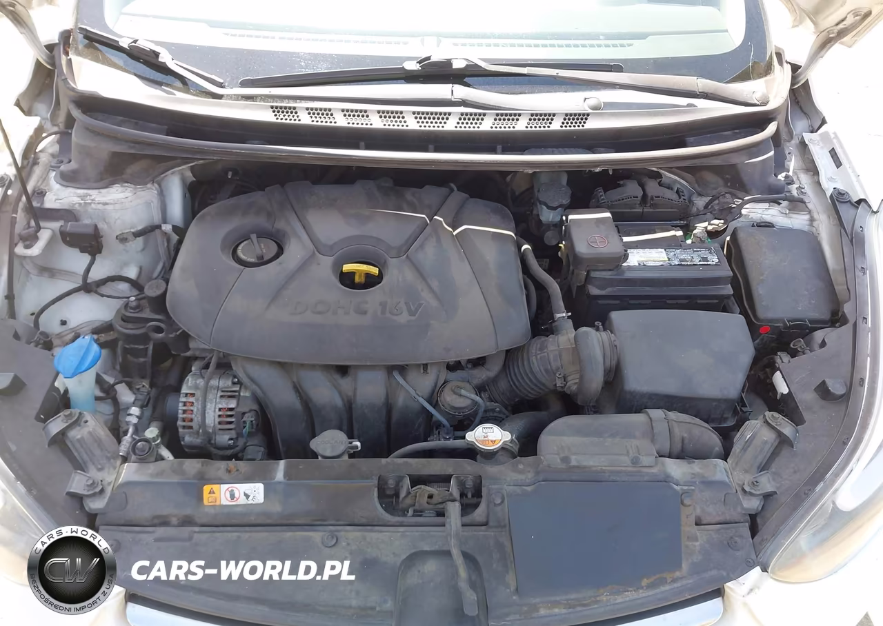 2016 Hyundai Elantra Se VIN:5NPDH4AEXGH733262 - 10