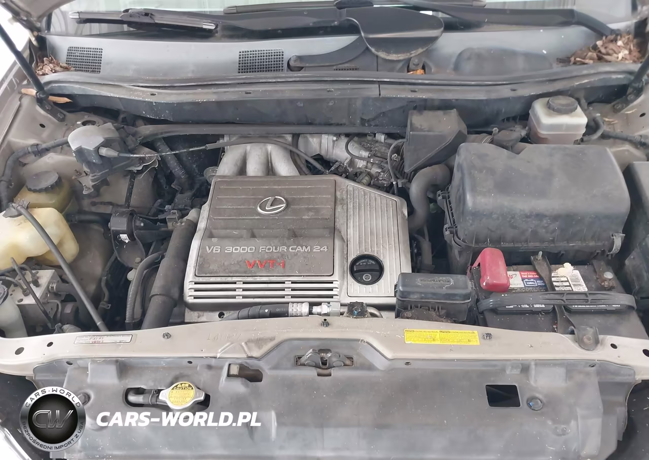 2001 Lexus Rx 300 VIN:JTJGF10U310117088 - 10