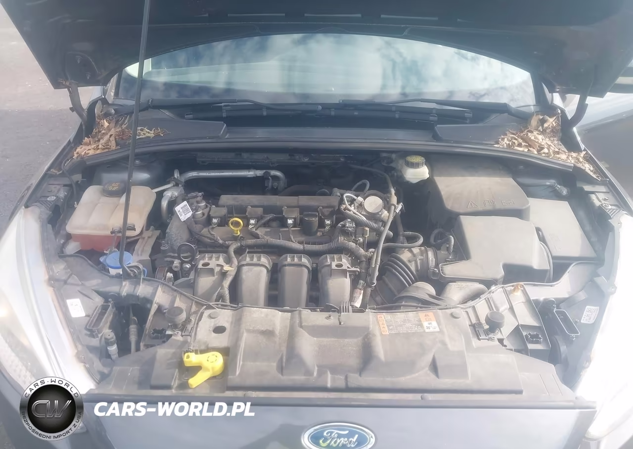 2017 Ford Focus Se VIN:1FADP3F24HL221785 - 10