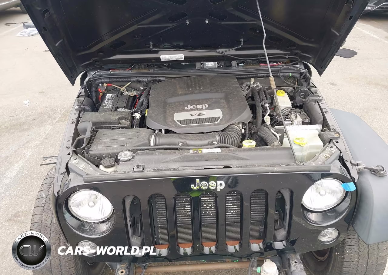 2016 Jeep Wrangler Unlimited Sport VIN:1C4BJWDGXGL144339 - 10