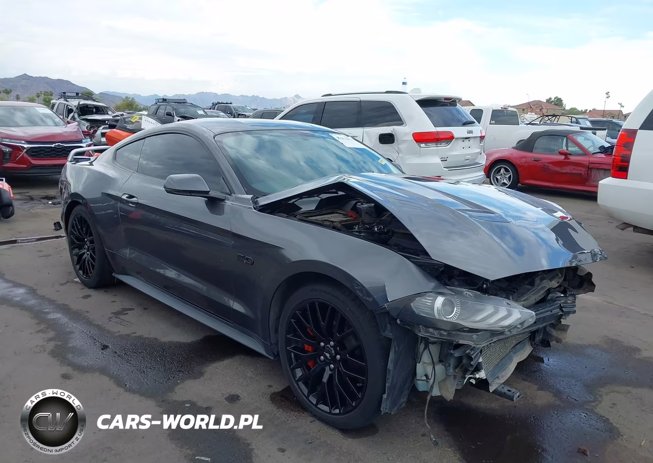 2019 Ford Mustang Gt Premium VIN:1FA6P8CF1K5188236 - 1
