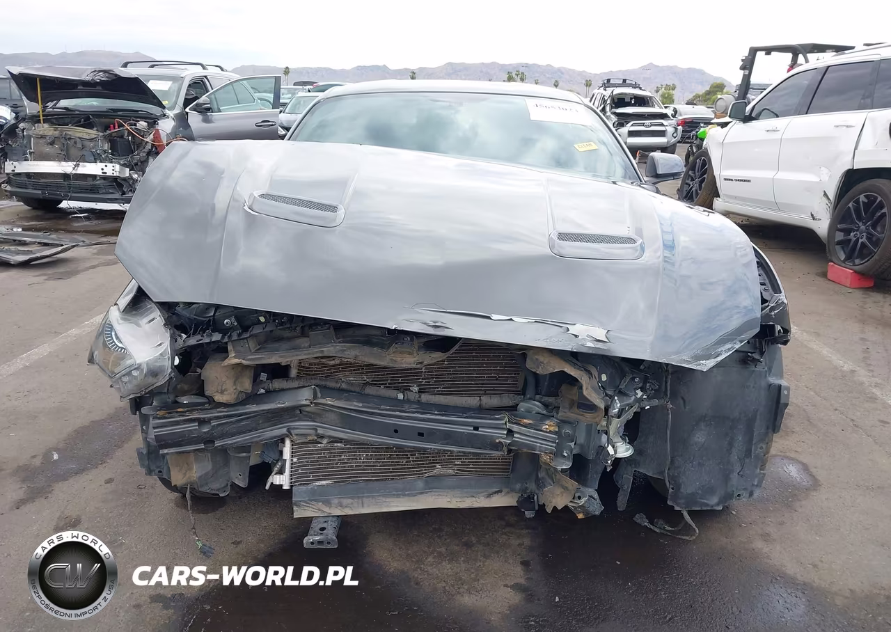 2019 Ford Mustang Gt Premium VIN:1FA6P8CF1K5188236 - 13