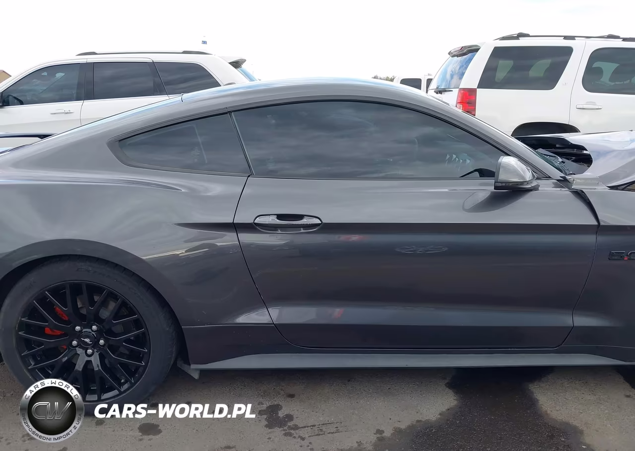 2019 Ford Mustang Gt Premium VIN:1FA6P8CF1K5188236 - 14