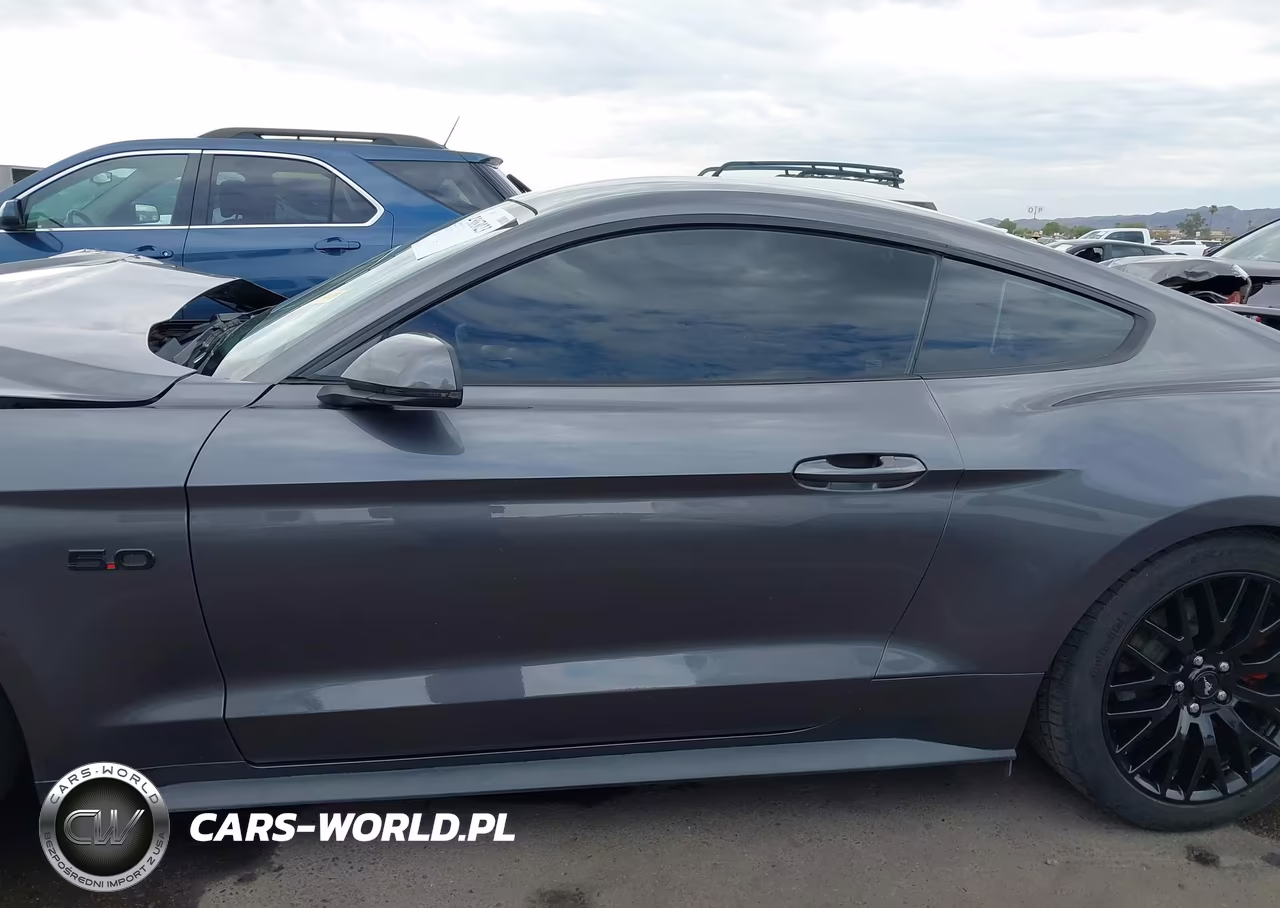 2019 Ford Mustang Gt Premium VIN:1FA6P8CF1K5188236 - 15