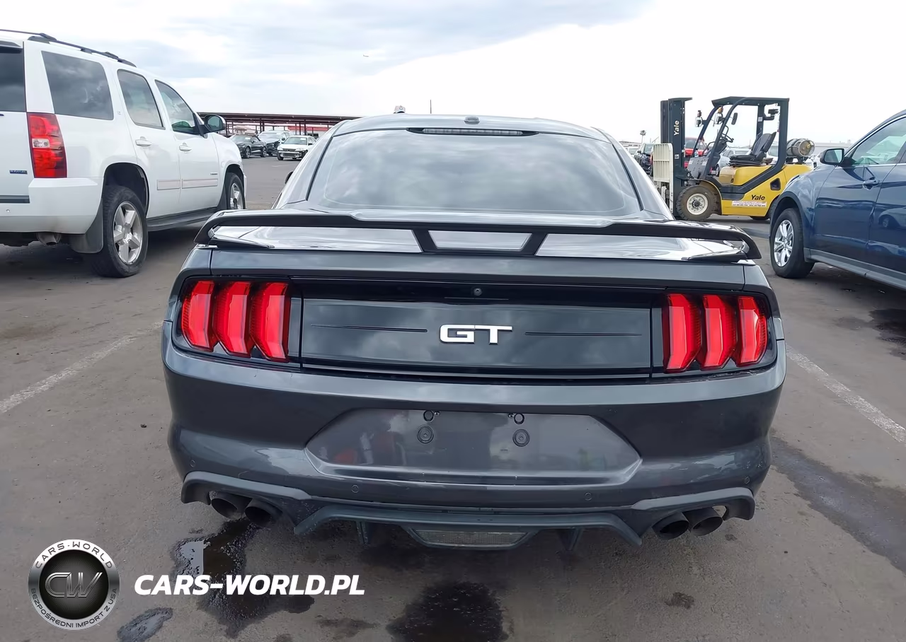 2019 Ford Mustang Gt Premium VIN:1FA6P8CF1K5188236 - 17