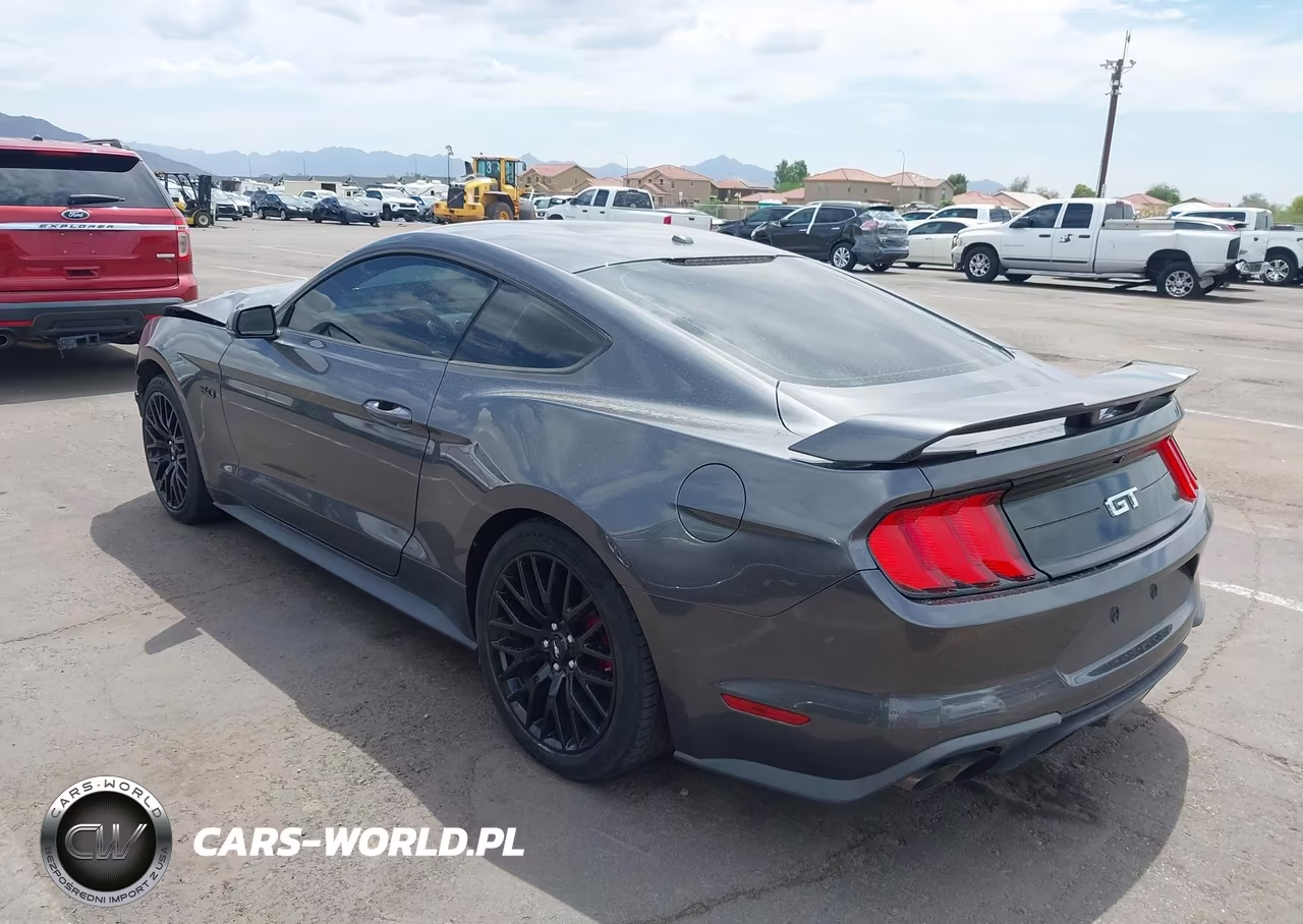 2019 Ford Mustang Gt Premium VIN:1FA6P8CF1K5188236 - 3
