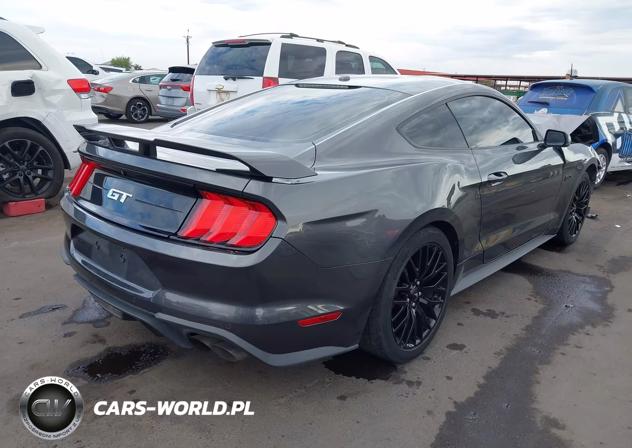 2019 Ford Mustang Gt Premium VIN:1FA6P8CF1K5188236 - 4