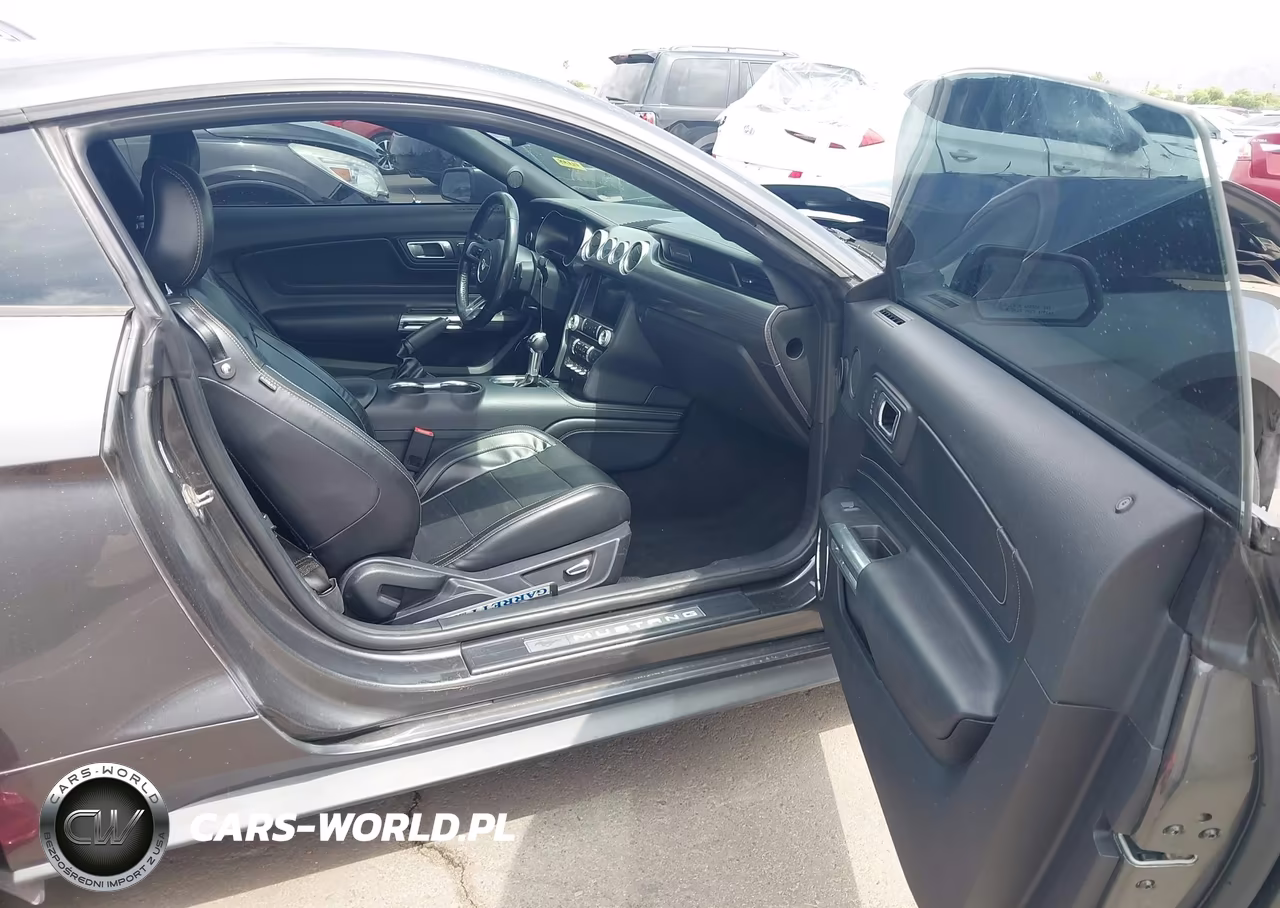 2019 Ford Mustang Gt Premium VIN:1FA6P8CF1K5188236 - 5