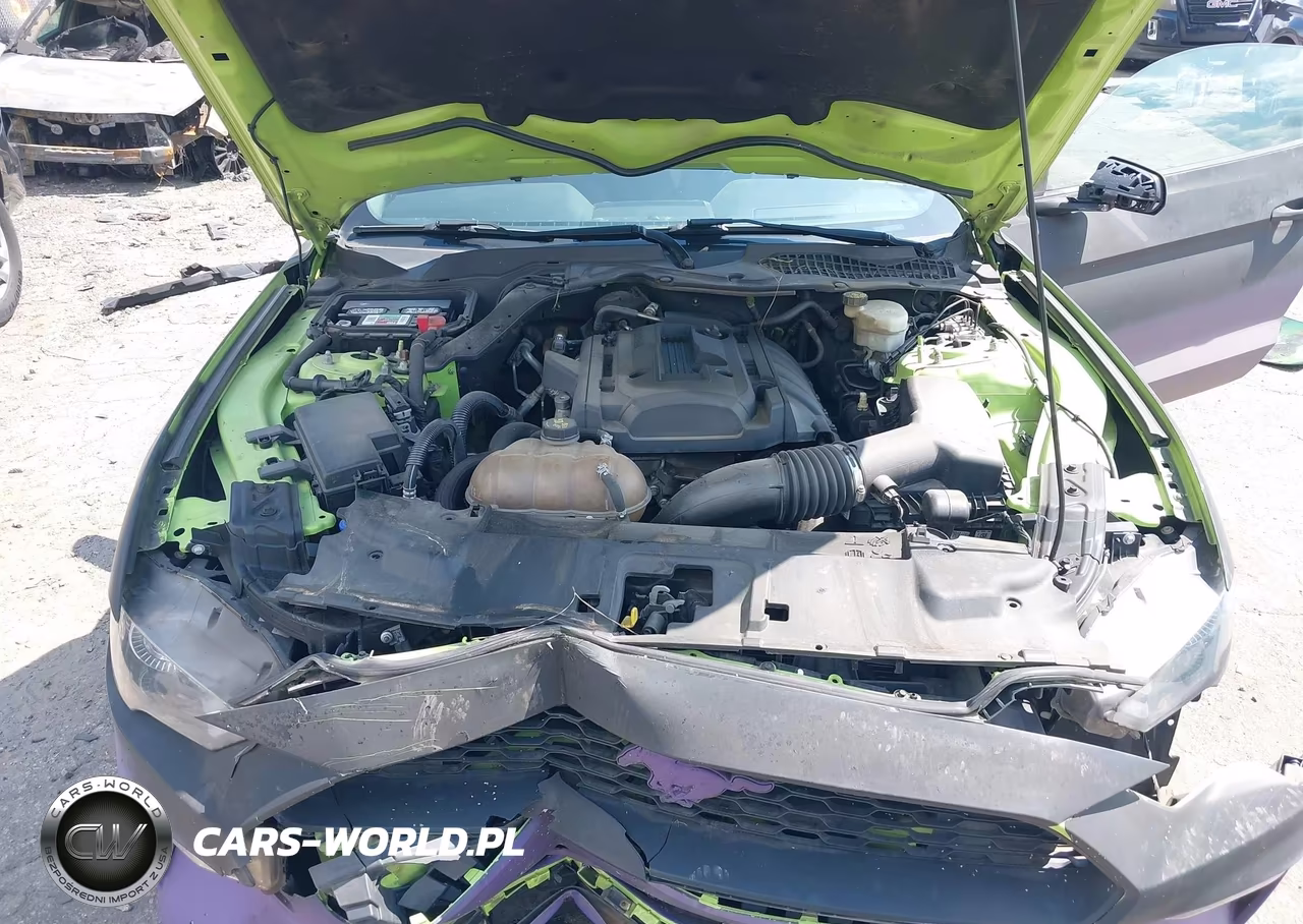2020 Ford Mustang Ecoboost Fastback VIN:1FA6P8TH4L5124100 - 10