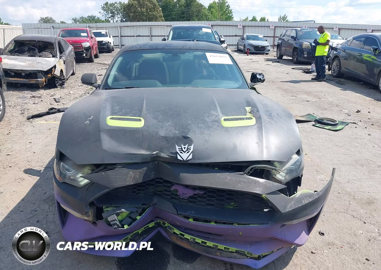 2020 Ford Mustang Ecoboost Fastback VIN:1FA6P8TH4L5124100 - 12