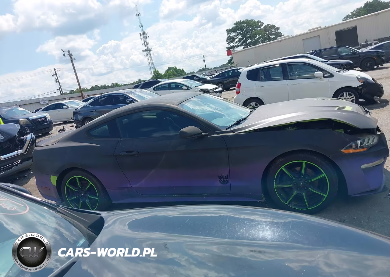 2020 Ford Mustang Ecoboost Fastback VIN:1FA6P8TH4L5124100 - 13