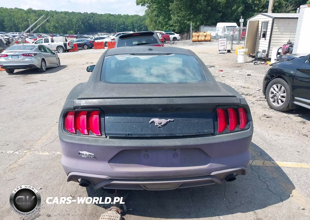 2020 Ford Mustang Ecoboost Fastback VIN:1FA6P8TH4L5124100 - 16