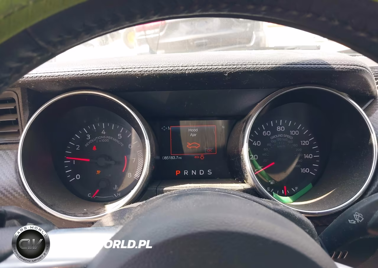 2020 Ford Mustang Ecoboost Fastback VIN:1FA6P8TH4L5124100 - 7