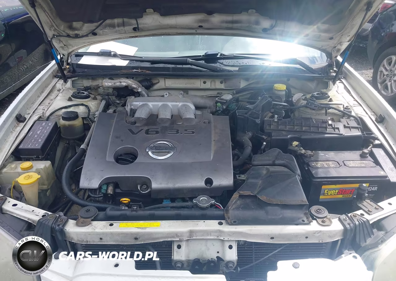 2003 Nissan Maxima Se VIN:JN1DA31D23T505996 - 10