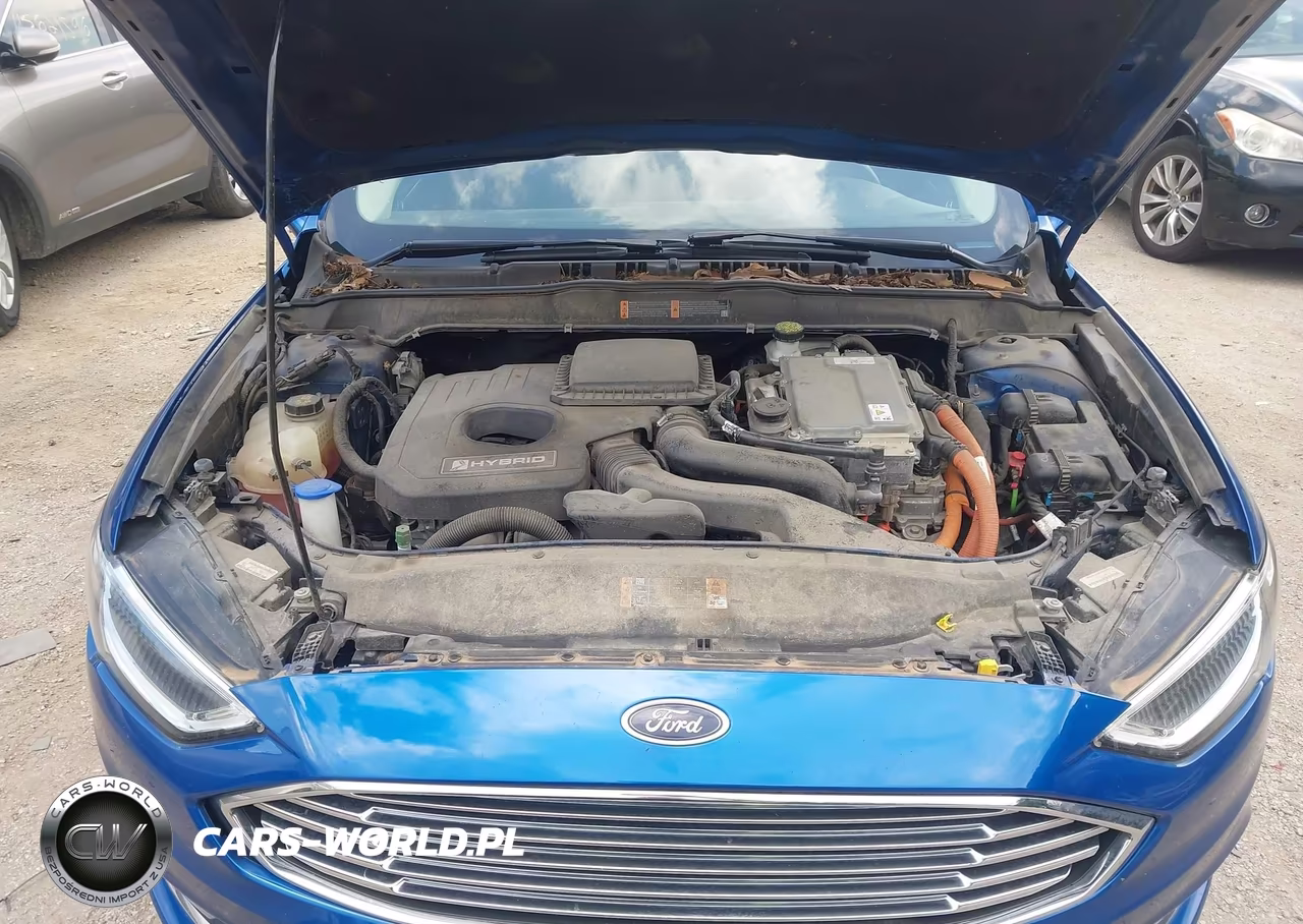 2017 Ford Fusion Hybrid Titanium VIN:3FA6P0RU1HR388854 - 10