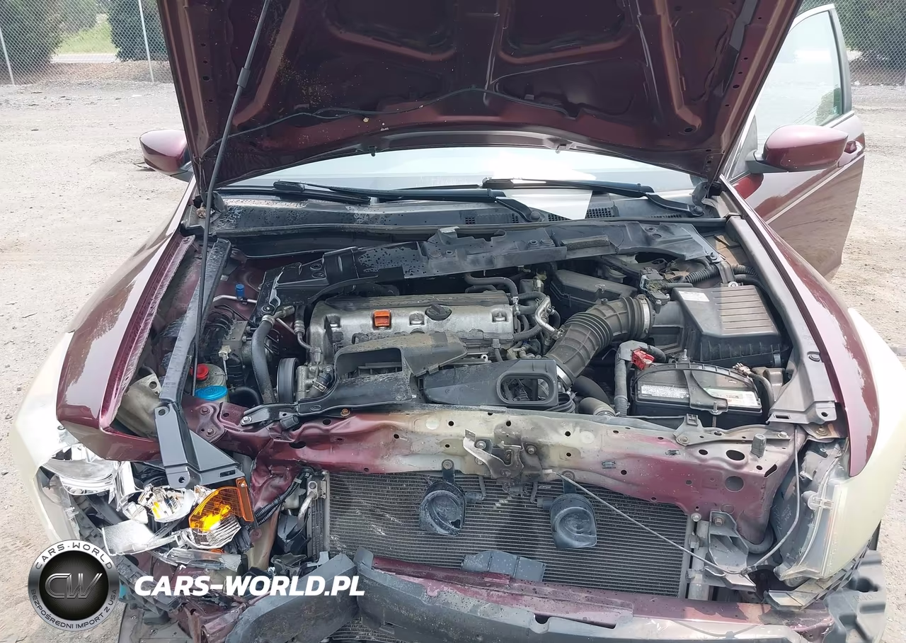 2010 Honda Accord 2.4 Ex VIN:1HGCP2F74AA116842 - 10