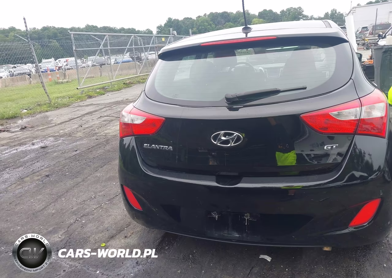 2016 Hyundai Elantra Gt VIN:KMHD35LH6GU313706 - 16