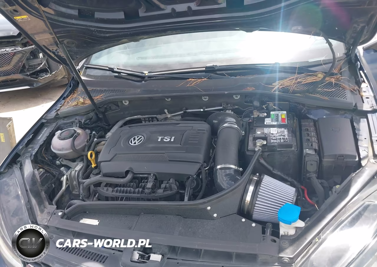 2018 Volkswagen Golf Gti 2.0T Autobahn-2.0T S-2.0T Se VIN:3VW447AU7JM296985 - 10