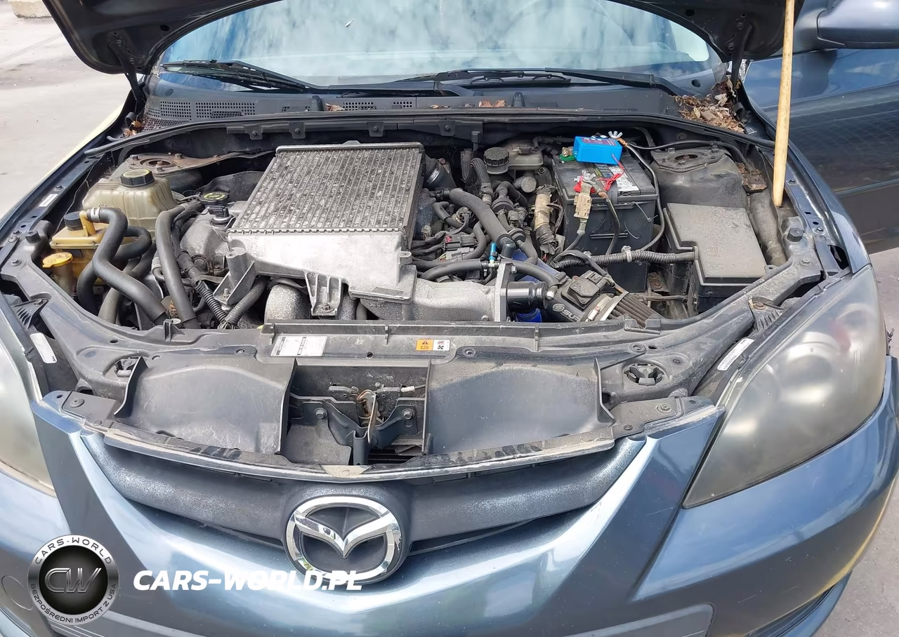 2009 Mazda Mazdaspeed3 Sport VIN:JM1BK34M791195930 - 10
