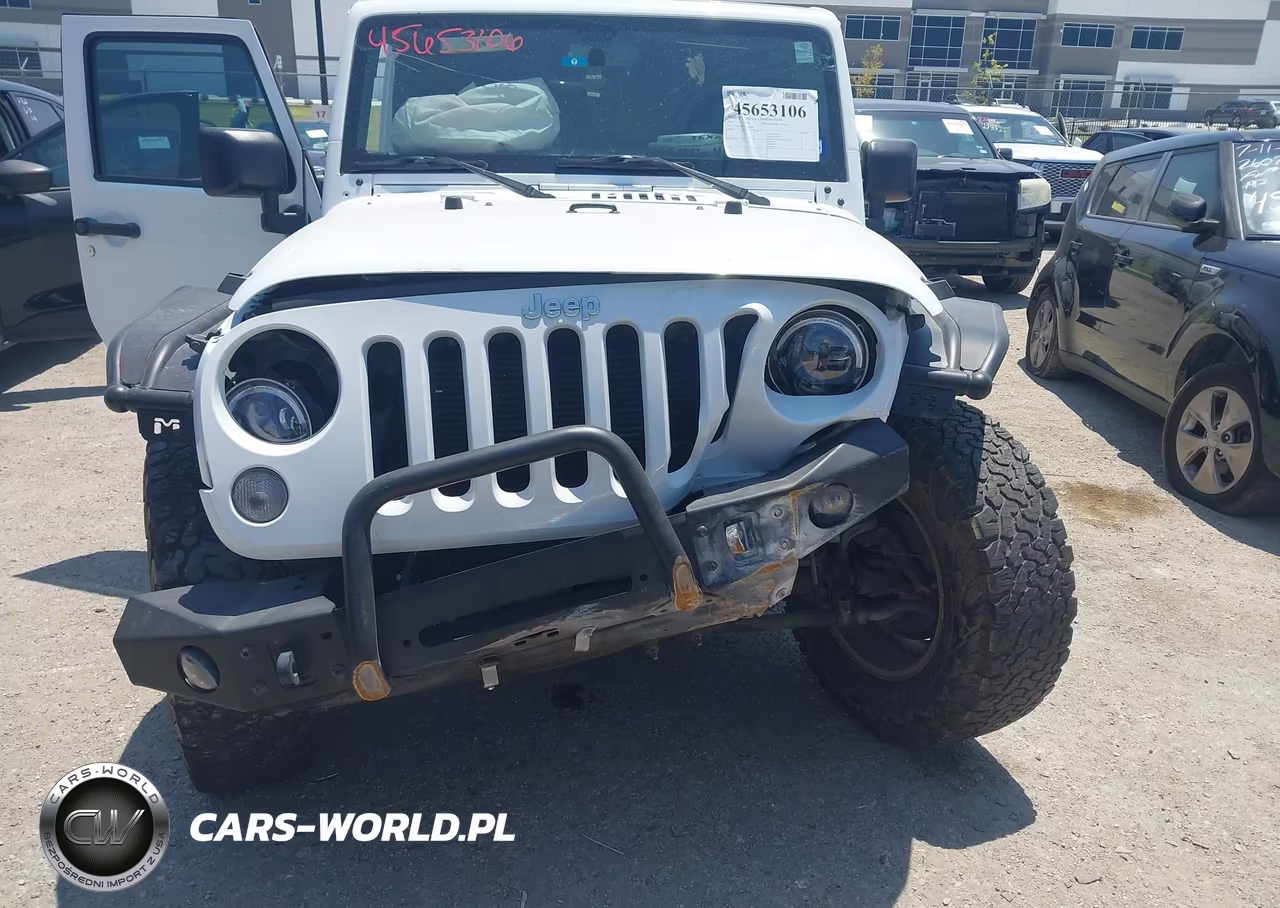 2016 Jeep Wrangler Unlimited Rubicon VIN:1C4HJWFG7GL231946 - 12