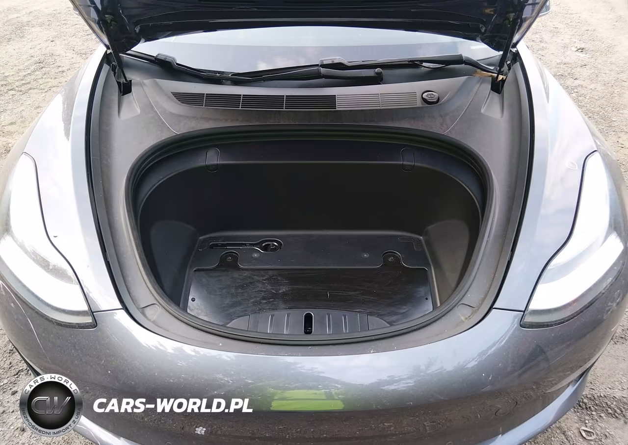 2019 Tesla Model 3 VIN:5YJ3E1EA7KF313590 - 10