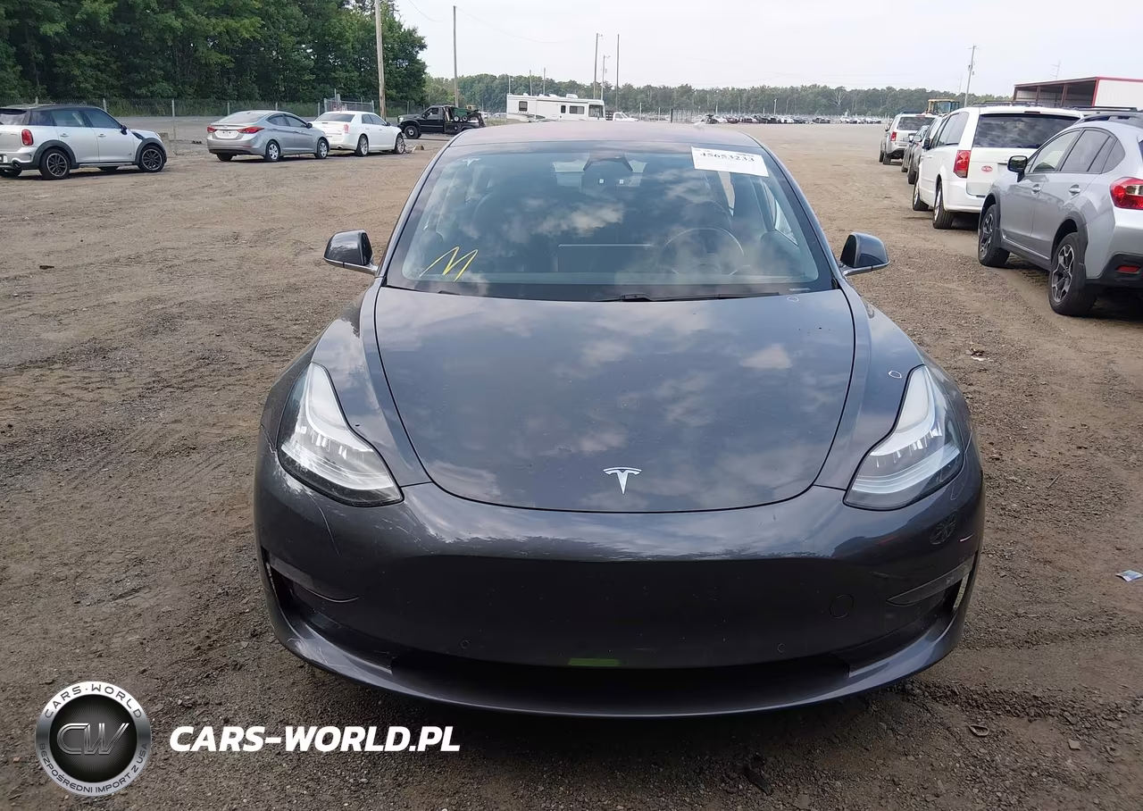 2019 Tesla Model 3 VIN:5YJ3E1EA7KF313590 - 12