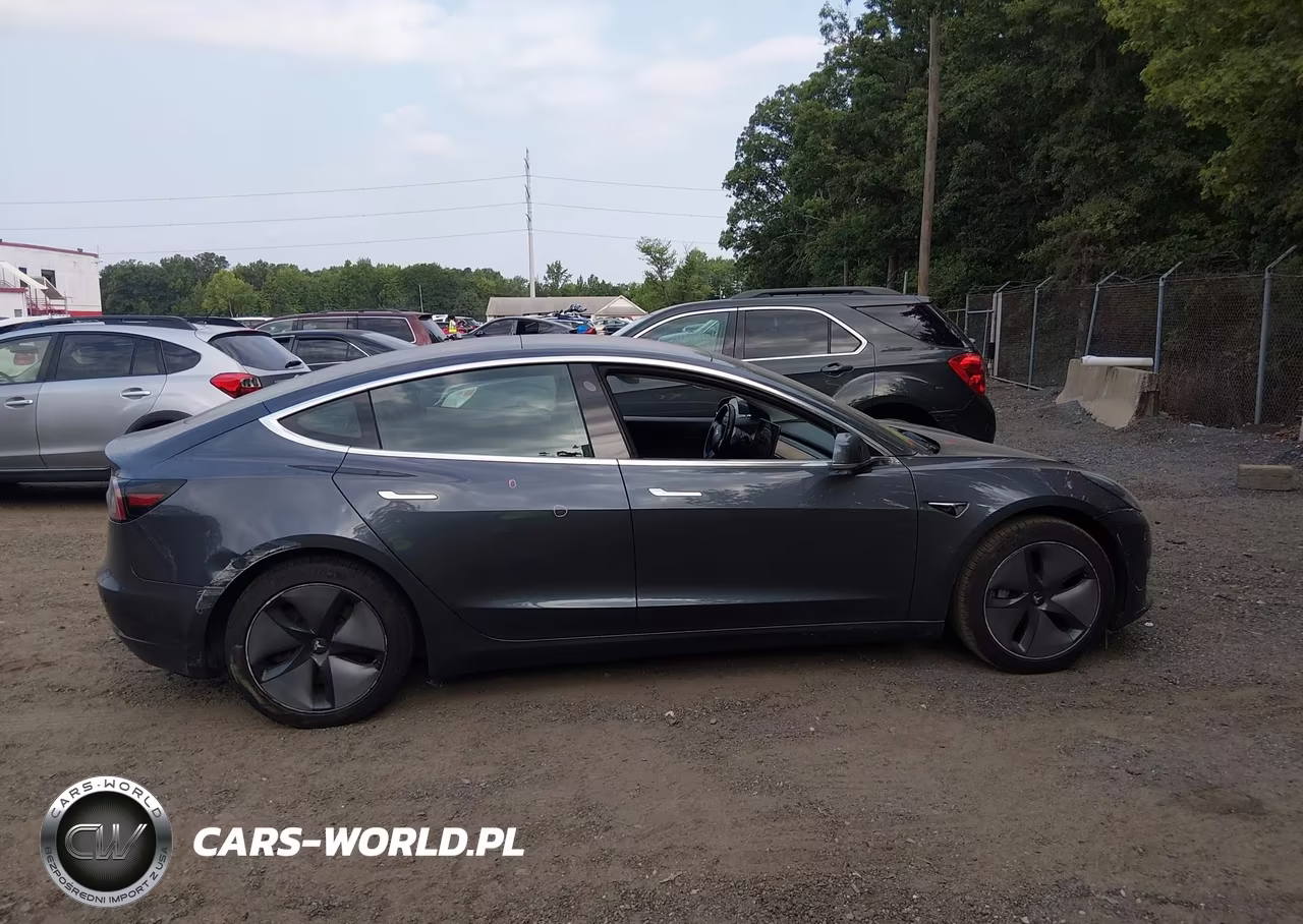 2019 Tesla Model 3 VIN:5YJ3E1EA7KF313590 - 13