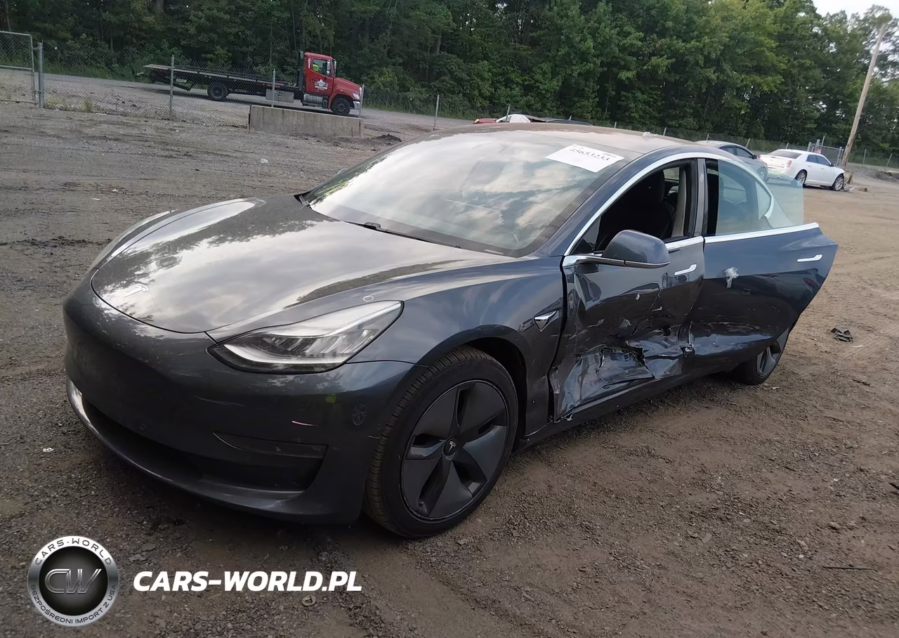 2019 Tesla Model 3 VIN:5YJ3E1EA7KF313590 - 2