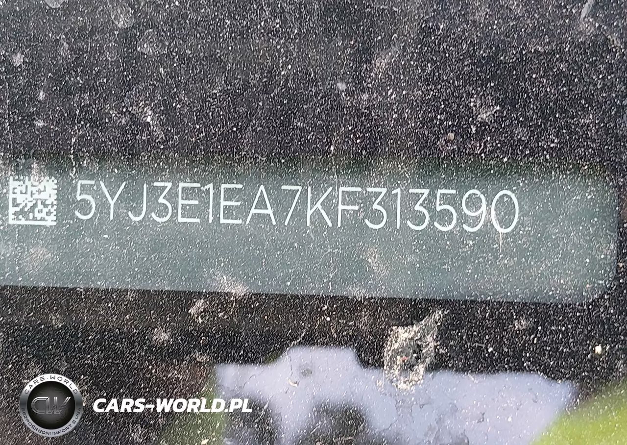 2019 Tesla Model 3 VIN:5YJ3E1EA7KF313590 - 9