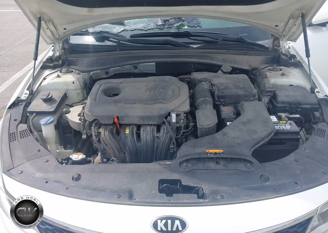 2016 Kia Optima Lx VIN:KNAGT4L32G5074694 - 10