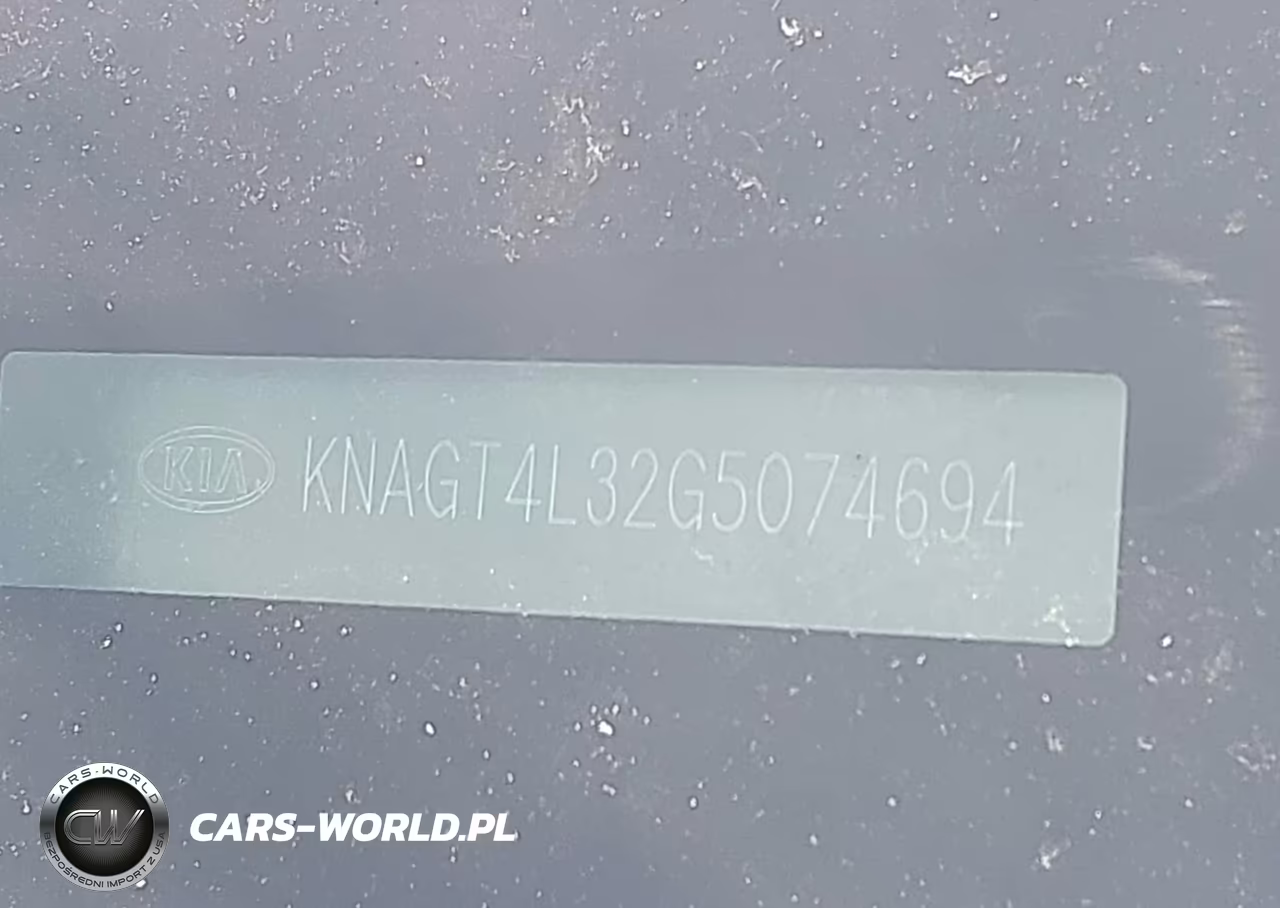 2016 Kia Optima Lx VIN:KNAGT4L32G5074694 - 9