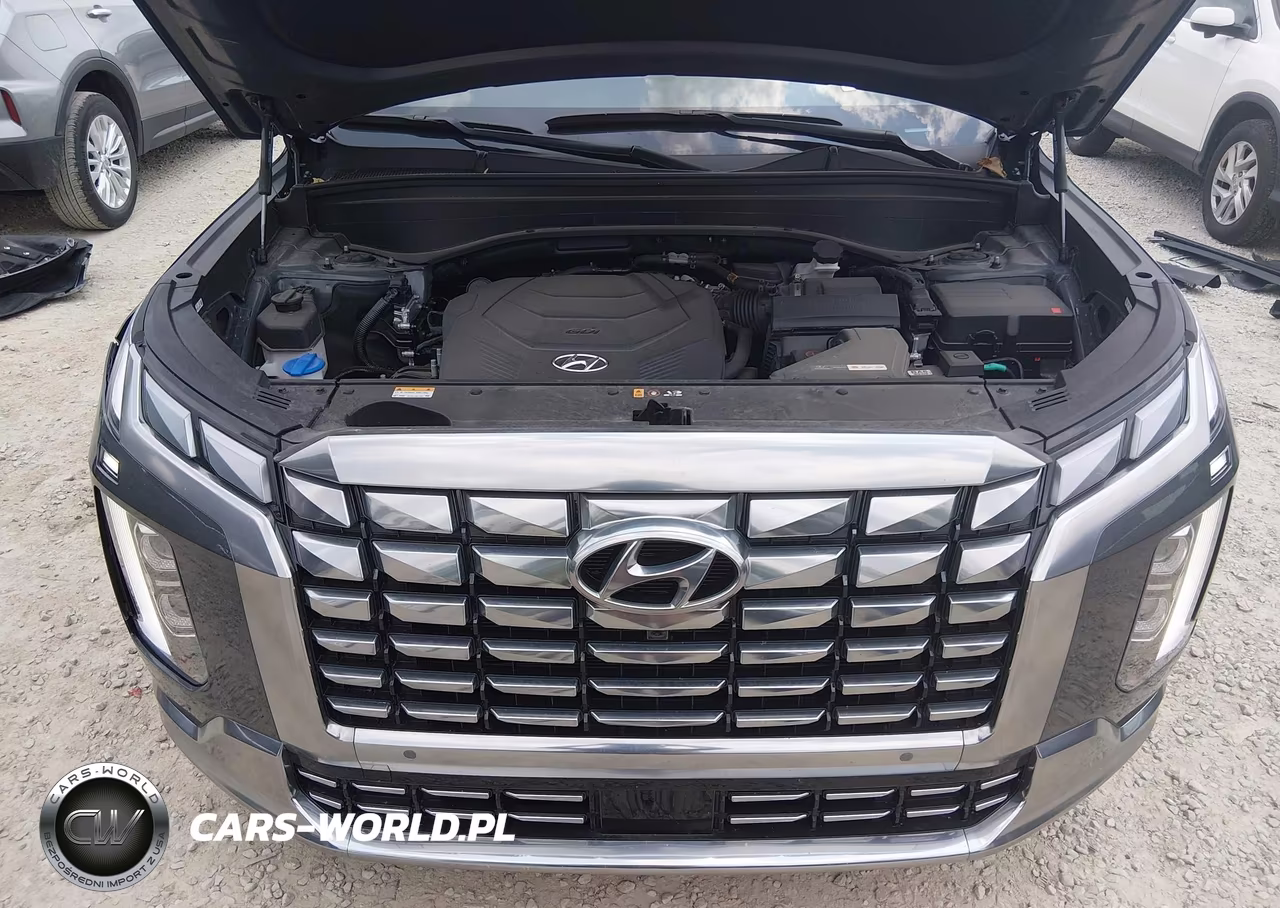 2025 Hyundai Palisade Calligraphy VIN:KM8R7DGEXSU919829 - 10
