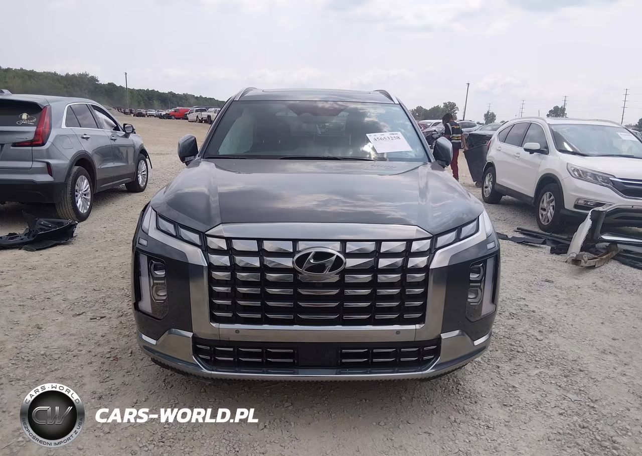 2025 Hyundai Palisade Calligraphy VIN:KM8R7DGEXSU919829 - 12