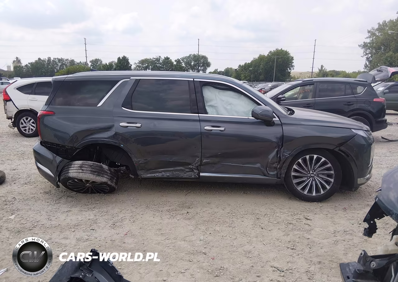 2025 Hyundai Palisade Calligraphy VIN:KM8R7DGEXSU919829 - 13