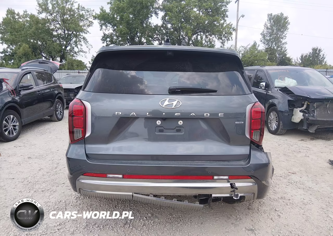2025 Hyundai Palisade Calligraphy VIN:KM8R7DGEXSU919829 - 16