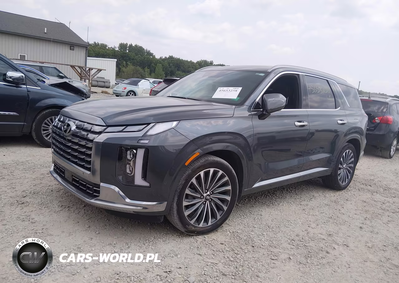 2025 Hyundai Palisade Calligraphy VIN:KM8R7DGEXSU919829 - 2