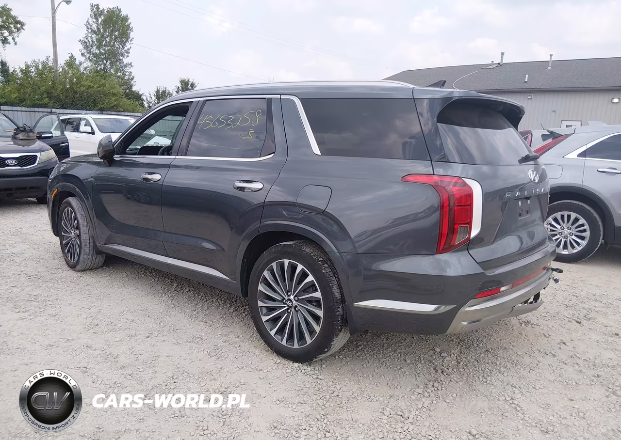 2025 Hyundai Palisade Calligraphy VIN:KM8R7DGEXSU919829 - 3