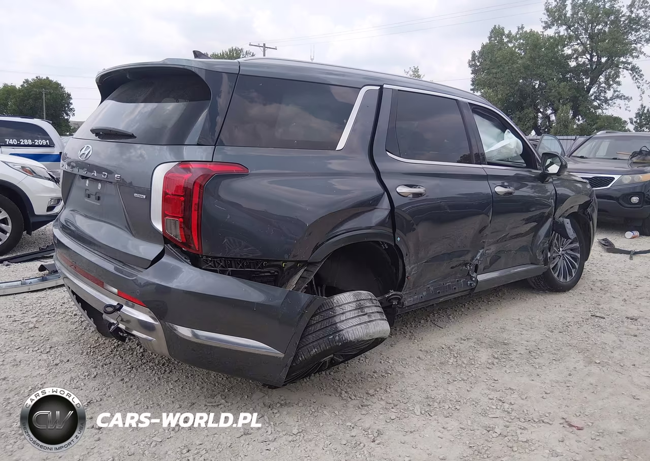 2025 Hyundai Palisade Calligraphy VIN:KM8R7DGEXSU919829 - 4