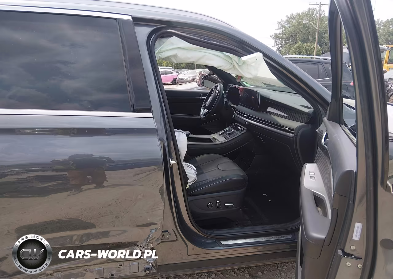 2025 Hyundai Palisade Calligraphy VIN:KM8R7DGEXSU919829 - 5