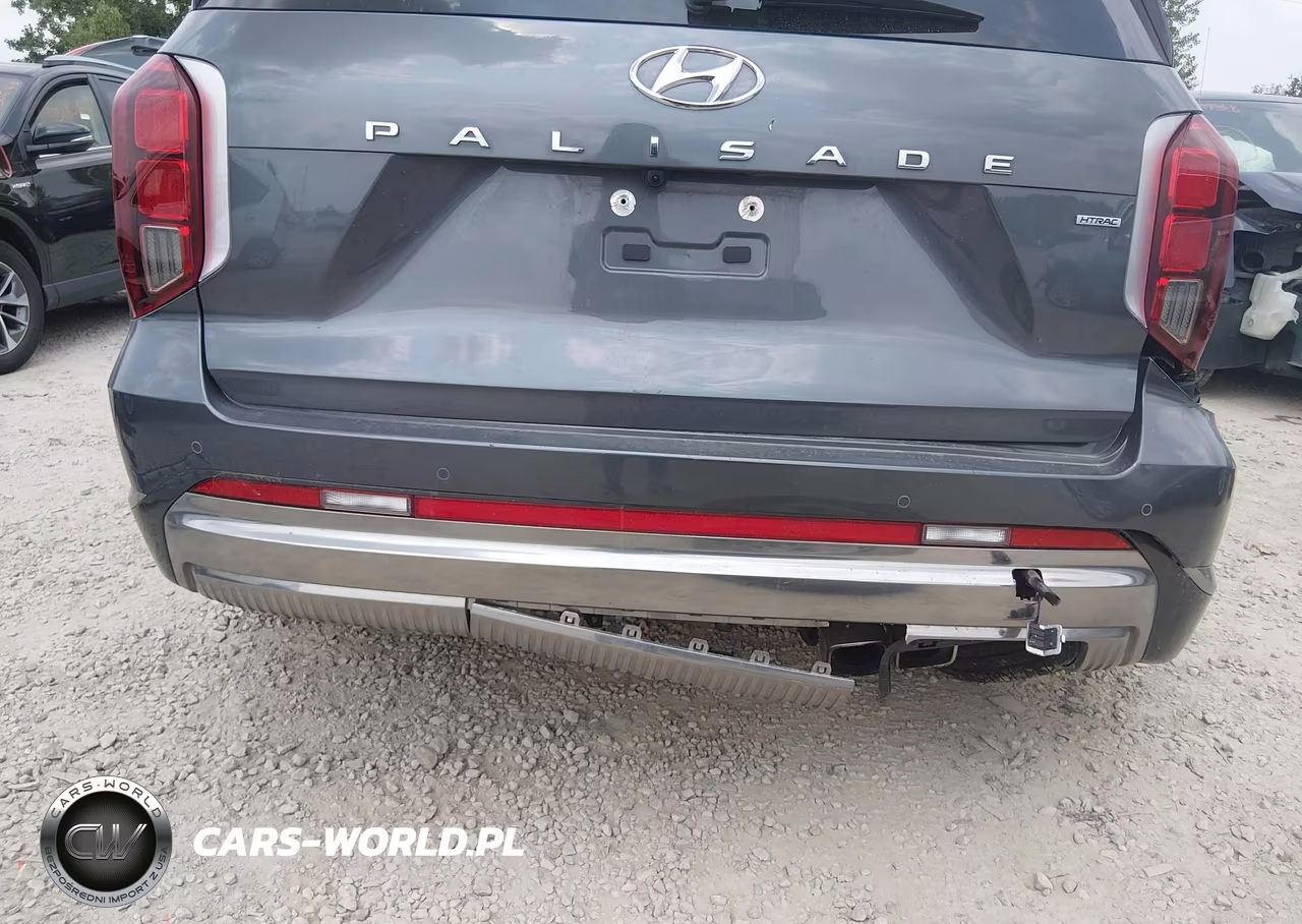 2025 Hyundai Palisade Calligraphy VIN:KM8R7DGEXSU919829 - 6