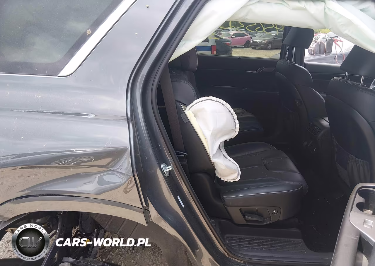 2025 Hyundai Palisade Calligraphy VIN:KM8R7DGEXSU919829 - 8